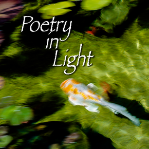 Poetry in Light